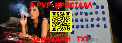 гидра Тара