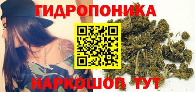 гидра Тара