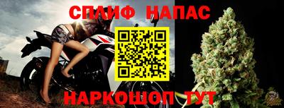 гидра Тара